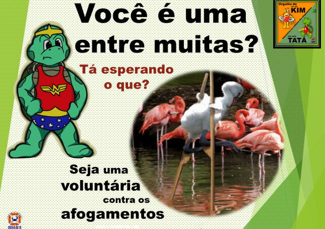 Chamadas_voluntarios_aves_tata-640x450