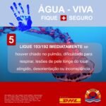 5_medidas_agua_viva (6)_mini