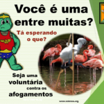Chamadas_voluntarios_aves_tata