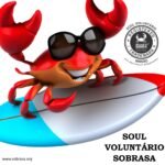 Soul_voluntario (3)