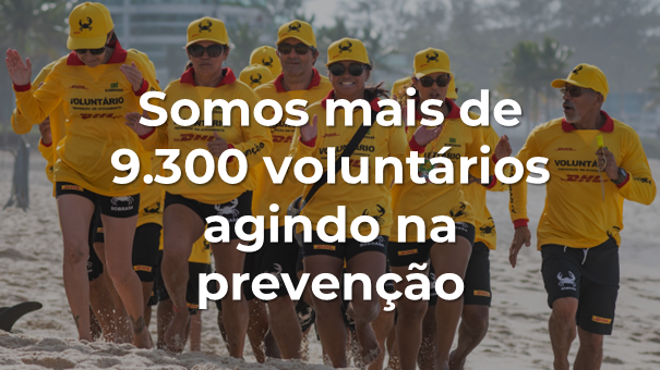 banner_doe_salvae (19)